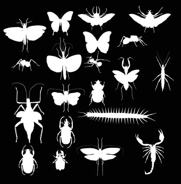 Collection with twenty white insects — Stock Vector
