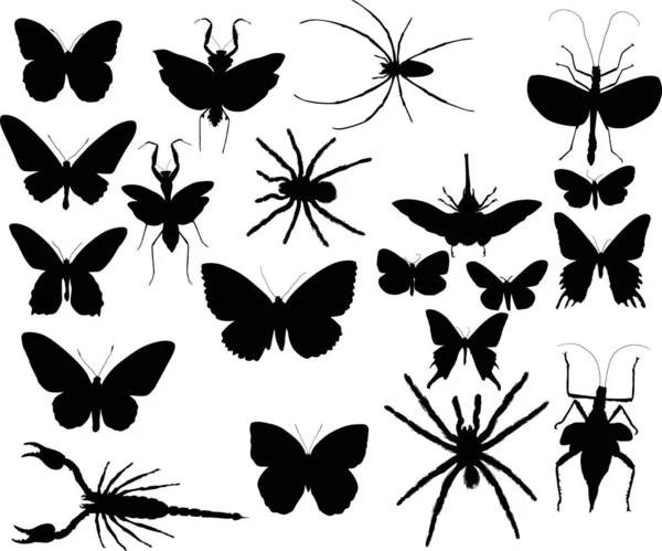 Collection with twenty black insects — Stock Vector