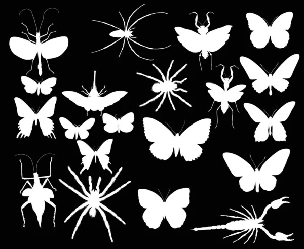 Collection with twenty white insects — Stock Vector