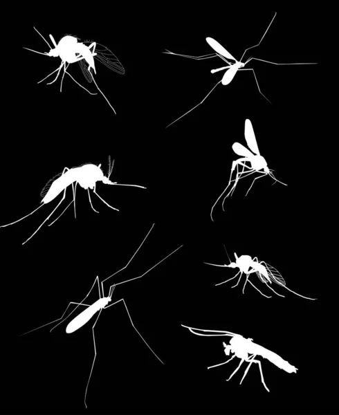 7 силуэтов комаров, изолированных на черном — стоковый вектор