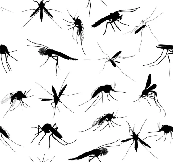 Black mosquito silhouette seamless background — Stock Vector