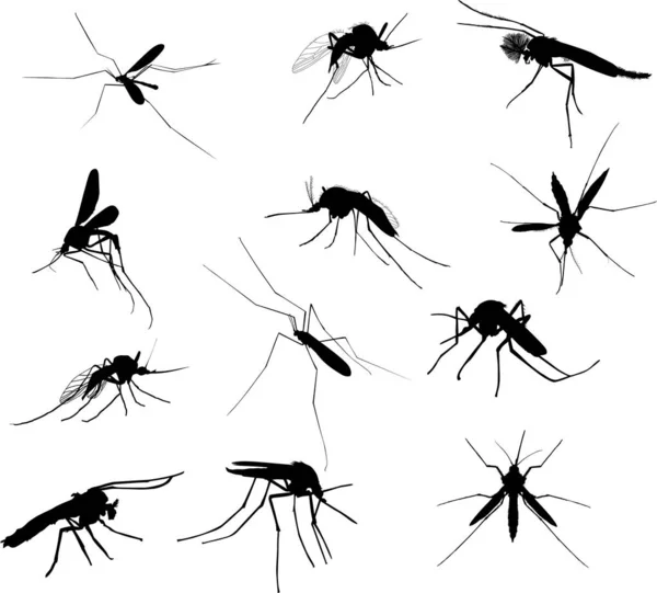 Doze silhuetas de mosquito isoladas em branco — Vetor de Stock