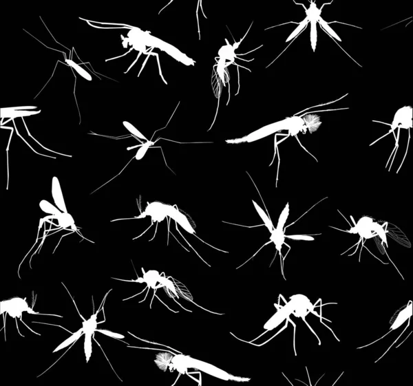 White mosquito silhouette seamless background — Stock Vector