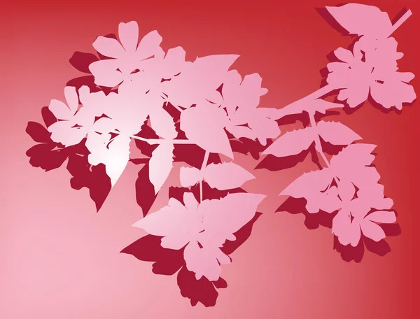 Jasmine flower branch on pink background — Stock Vector