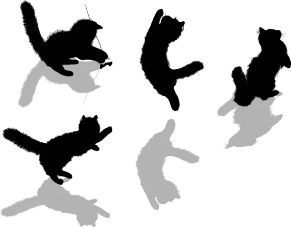 Four black kittens and shadows isolated collection — Stock Vector