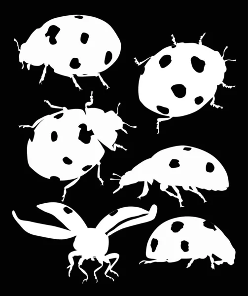 Six white ladybugs isolated on black — Stock Vector