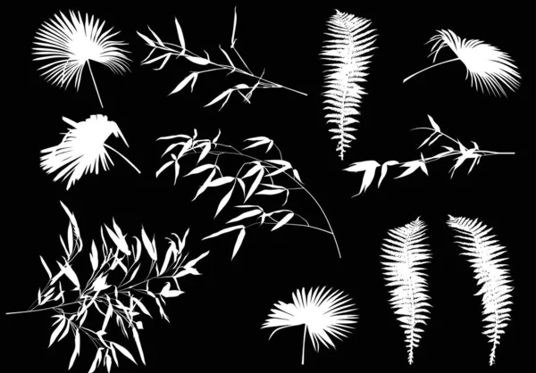 Collection de feuilles tropicales sur noir — Image vectorielle