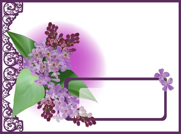 Lilac flower branch in decorated frame — ストックベクタ