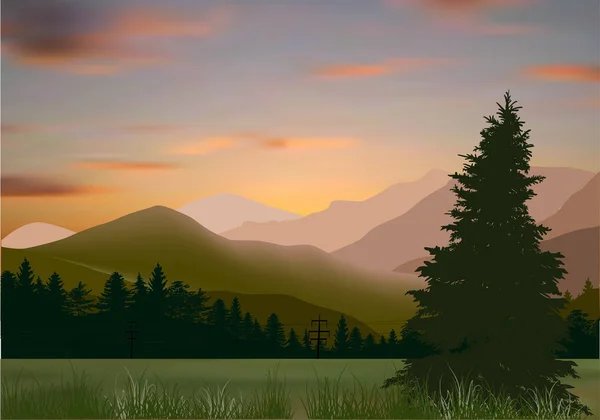 Σκοτεινό ορεινό δάσος το ηλιοβασίλεμα — Διανυσματικό Αρχείο