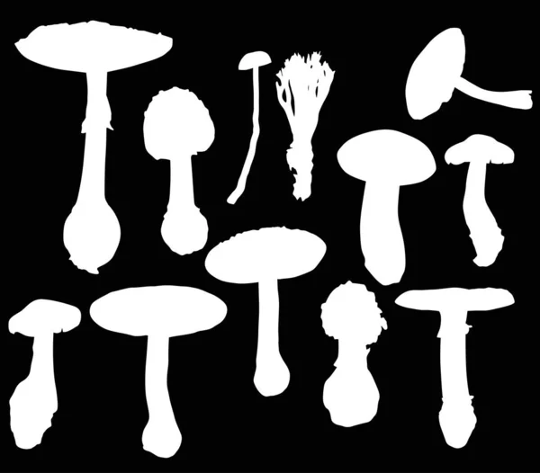 Collection of twelve toadstools isolated on black — Stock Vector