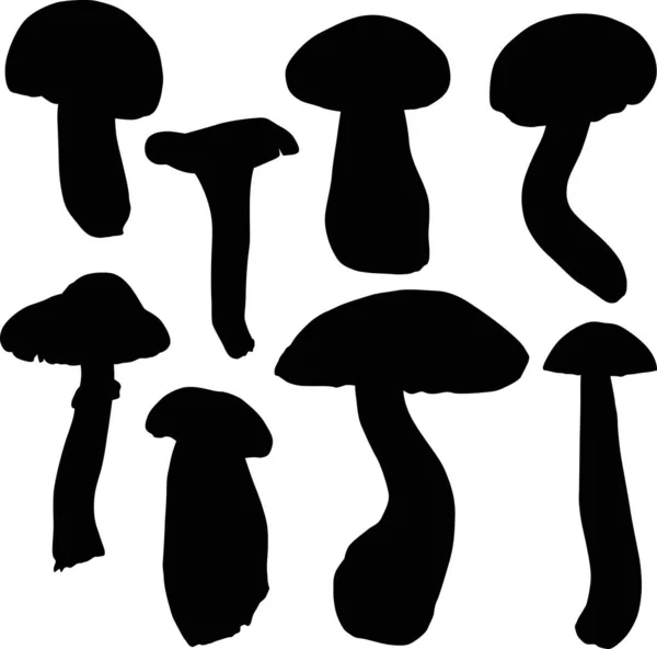Oito cogumelos comestíveis em branco — Vetor de Stock