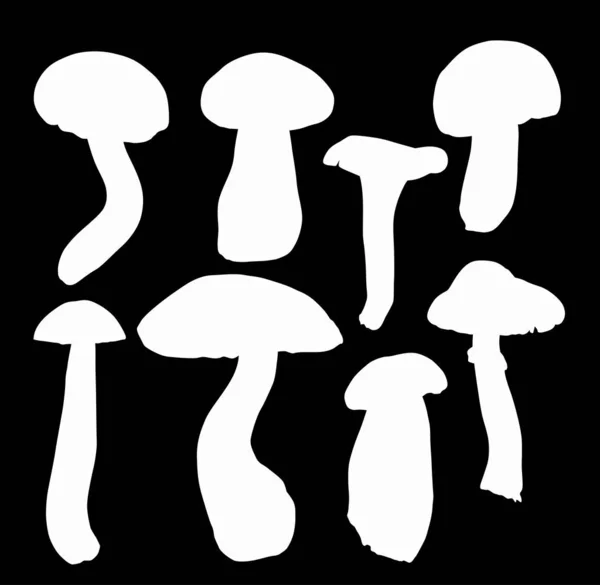 Eight edible mushrooms on black — Stock Vector