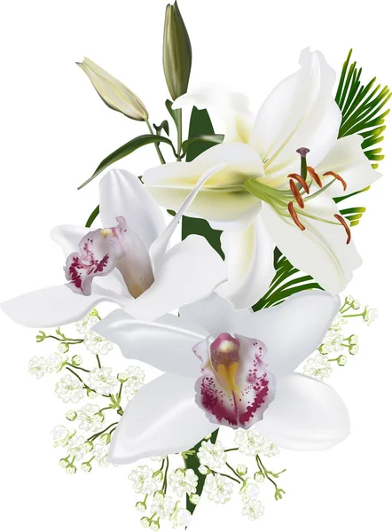 Orquídea ligera y flores de lirio sobre fondo blanco — Vector de stock