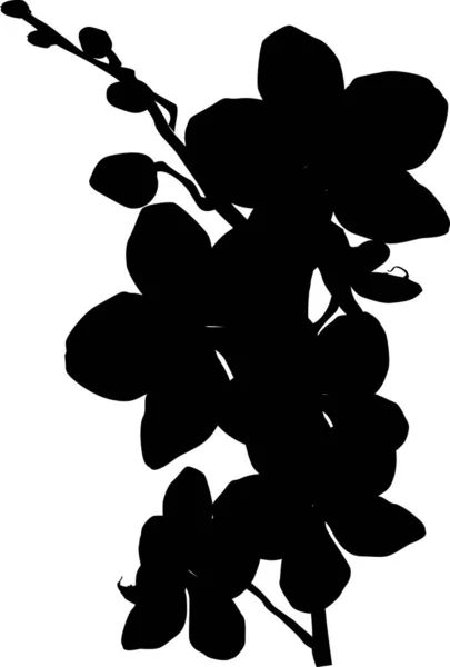 Single orchid silhouette isolated on white — Stock Vector
