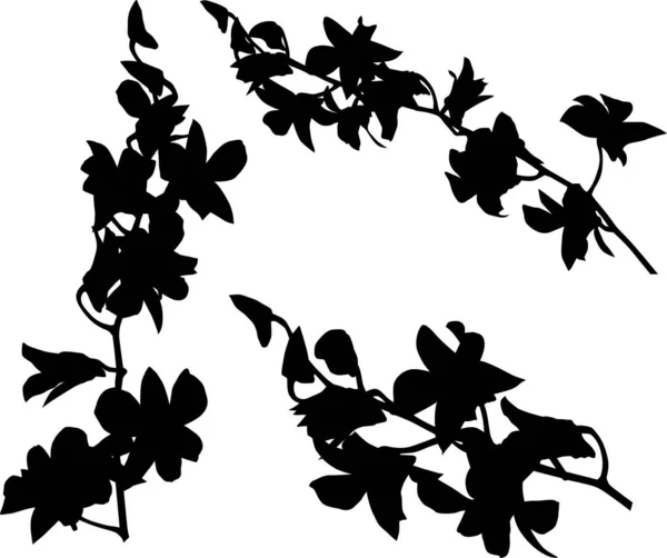 Conjunto de tres ramas de orquídea siluetas negras — Vector de stock