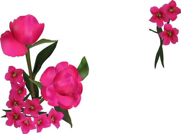 Grupp av rosa blommor isolerade pÃ ¥vitt — Stock vektor