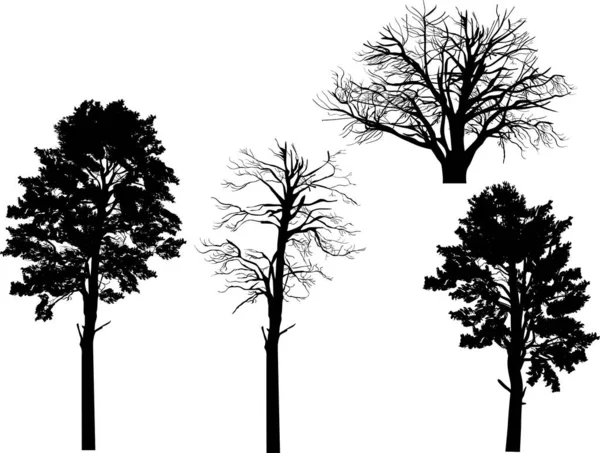 Four large black pine silhouettes isolated on white — Stock Vector