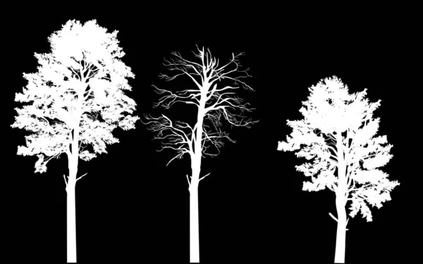 Drie dennen silhouetten geïsoleerd op zwarte achtergrond — Stockvector