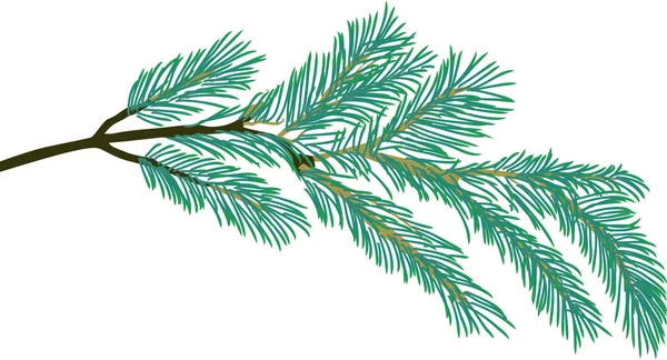 Pine tree one blue branch isolated illustration — Stock Vector