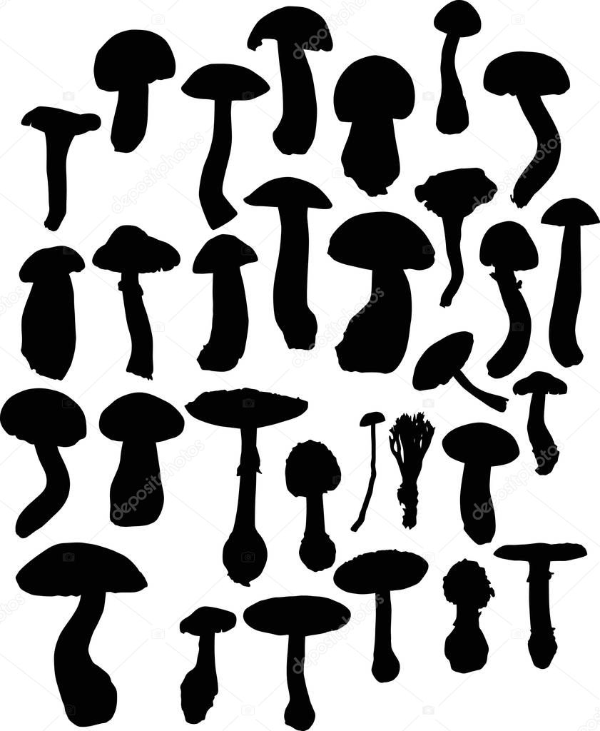 large group of isolated mushrooms silhouettes