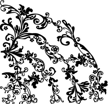 bitki çeyreği beyaza izole edilmiş