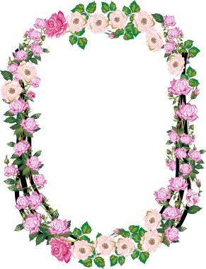 beyaz izole gül ve brier çiçekten O harfi