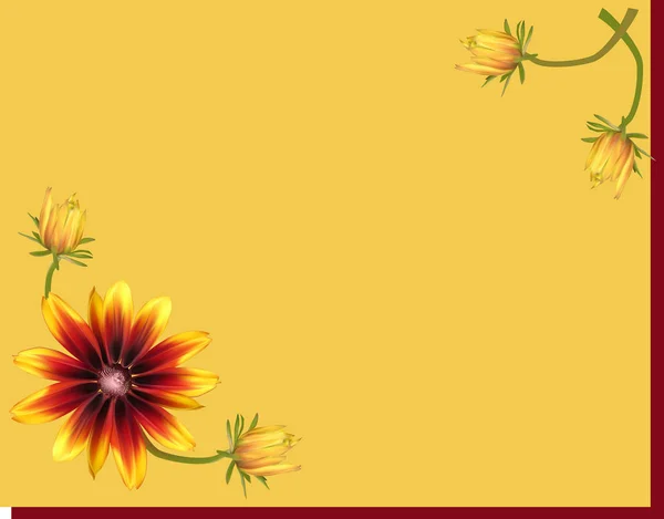 Stor röd och gul blomma isolerad på guld bakgrund — Stock vektor