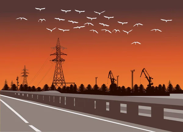 日没時に空の通りを飛ぶ鳥たち — ストックベクタ
