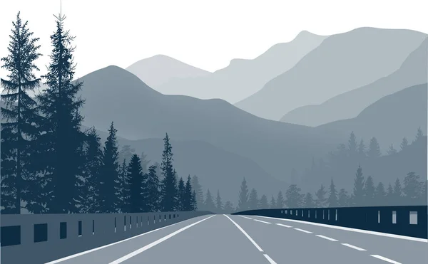 Gri dağlarda boş bir yol — Stok Vektör