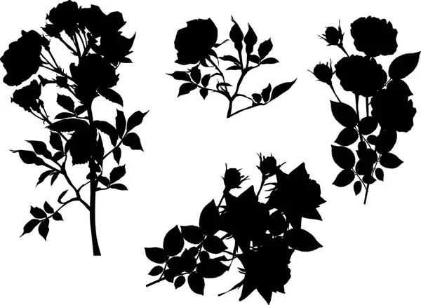 Conjunto de cuatro rosas negras sobre blanco — Archivo Imágenes Vectoriales