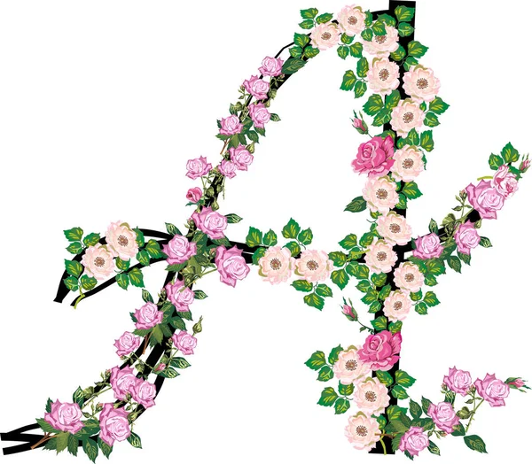 "A" betűt rózsából és Brier virágokból izolált fehér — Stock Vector