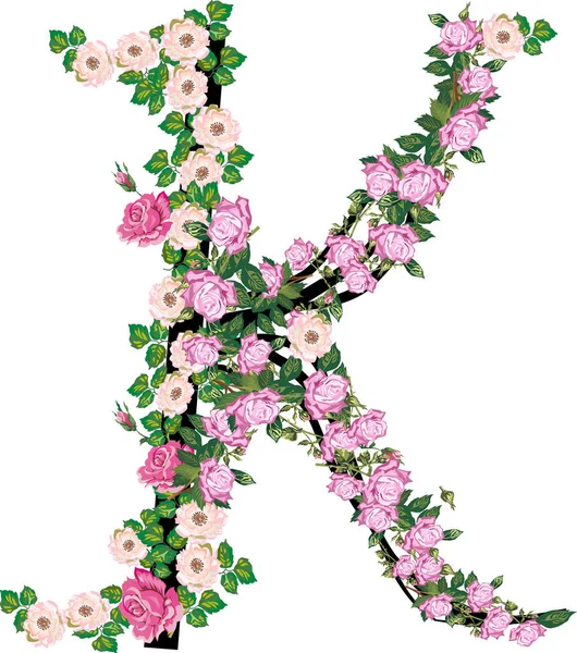 Letter K from rose and brier flowers isolated on white — Stock Vector