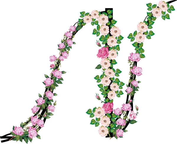 N betűt rózsa és Brier virágok izolált fehér — Stock Vector