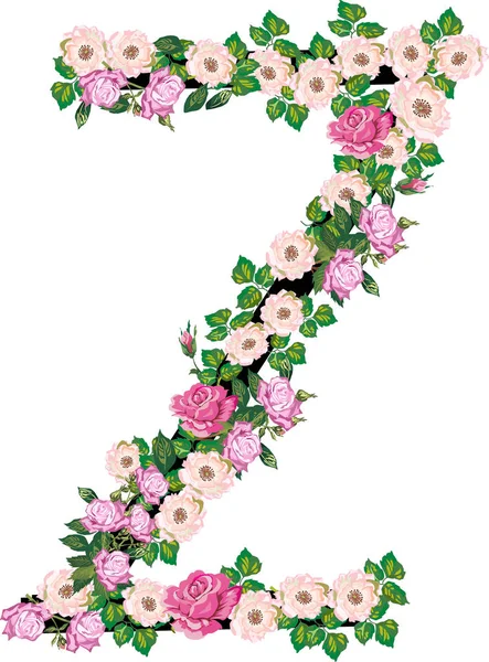 Lettre Z de roses et de fleurs plus rondes isolées sur blanc — Image vectorielle