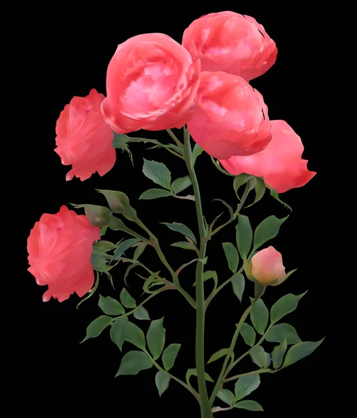 Flores de rosa roja y tres brotes en negro — Vector de stock