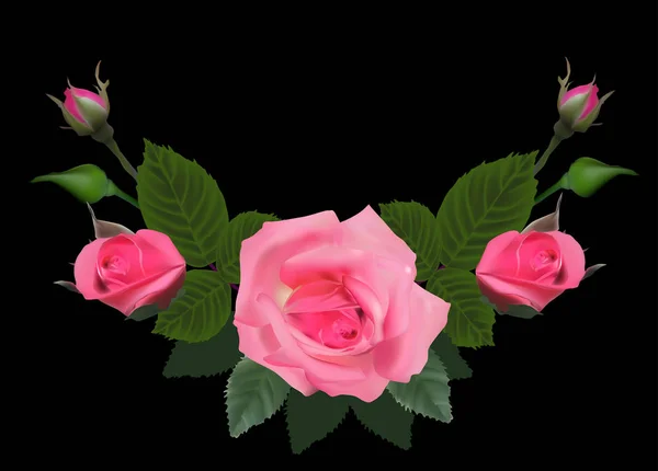 Rosa rosa roja flores y brotes en negro — Vector de stock