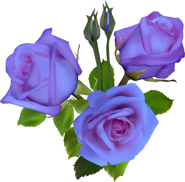 一群淡淡的紫丁香玫瑰花，在白色上隔离 — 图库矢量图片