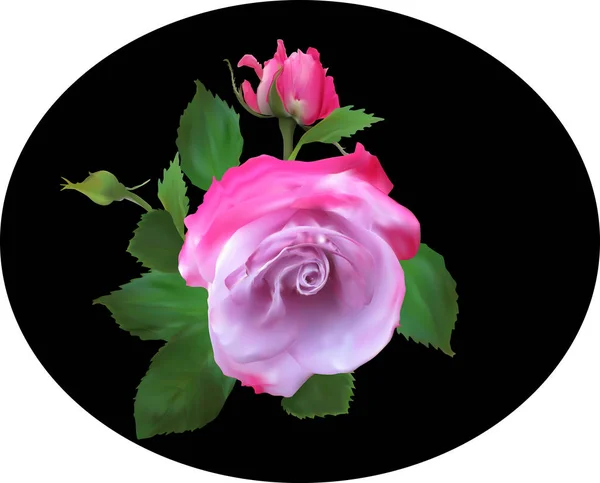 Rosa rosa flor em preto oval — Vetor de Stock