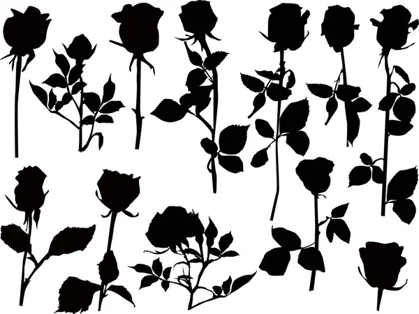 Tolv svarta isolerade rosor — Stock vektor