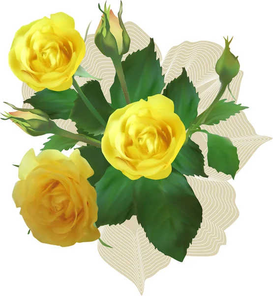Mazzo di fiori e boccioli di rosa giallo chiaro — Vettoriale Stock