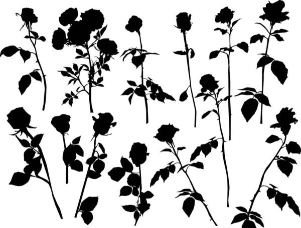 13棵黑色孤立的玫瑰 — 图库矢量图片