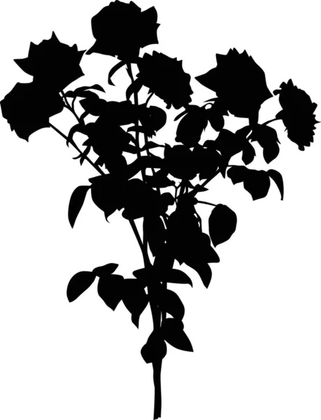 Schwarzer Rosenstrauch mit sechs Blüten — Stockvektor