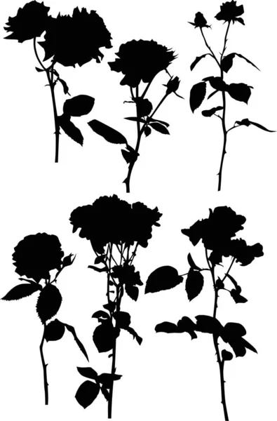 Six black rose isolated flowers — 스톡 벡터