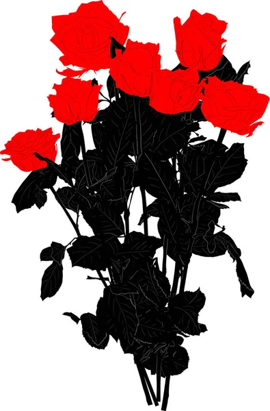 Schwarzer und roter Rosenstrauß isoliert auf weißem Grund — Stockvektor
