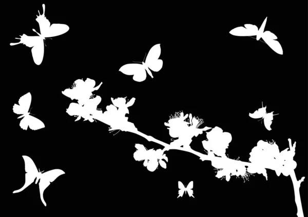 Cerezo florece y seis mariposas aisladas en negro — Vector de stock