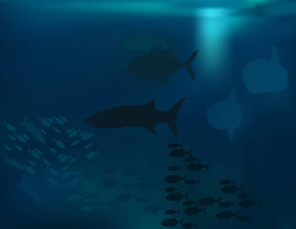 Siluetas de peces oscuros en agua azul — Vector de stock