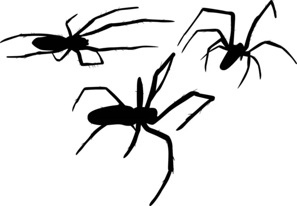 Drie geïsoleerde kleine zwarte spinnen illustratie — Stockvector