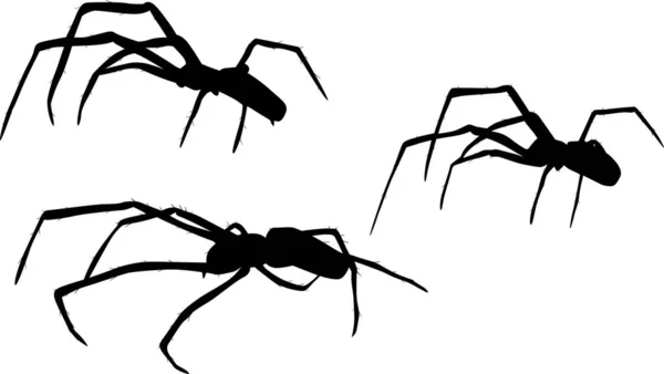 Trzy małe czarne sylwetki pająka ilustracja — Wektor stockowy
