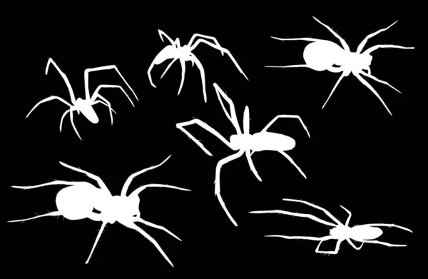 Enam ilustrasi laba-laba putih yang terisolasi - Stok Vektor