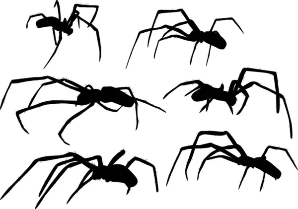 Seis aranhas negras isoladas ilustração — Vetor de Stock